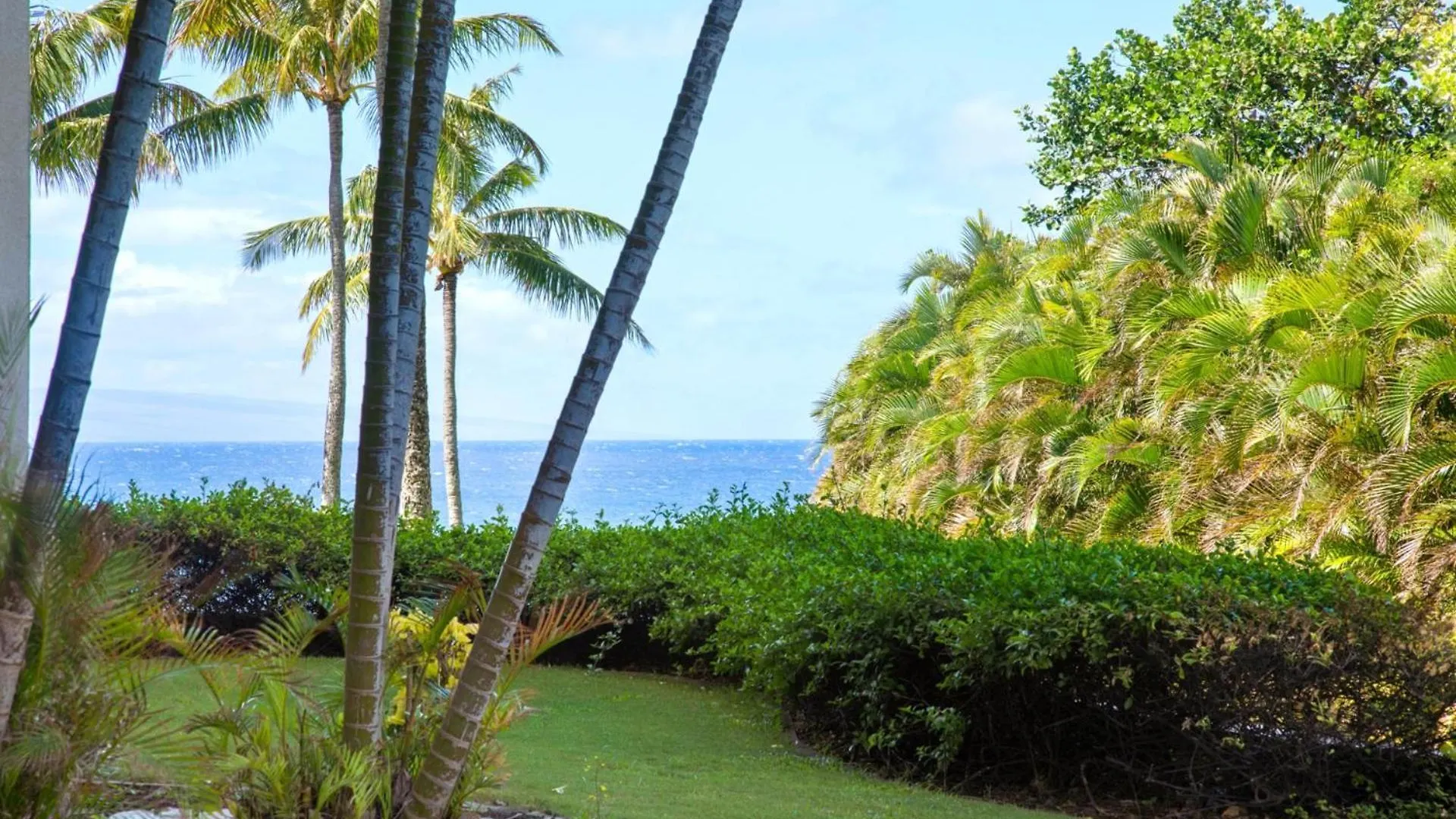 Kbm Resorts Free Car Hale Mala At Montage Kapalua Bay Includes Daily Housekeeping Spa Kahana
